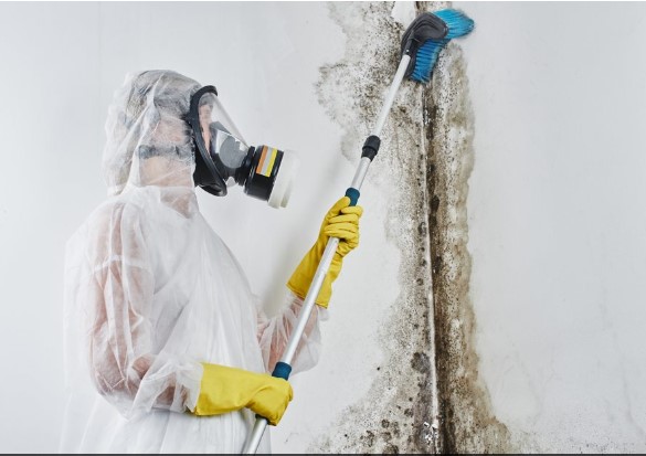 Step-by-step Guide on How to Recover from Water Damage in Philadelphia Properties